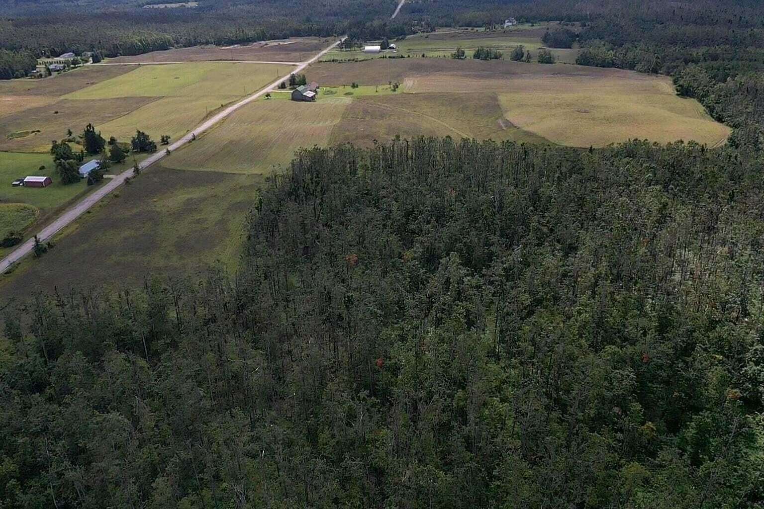 40 Acres of Land for Sale in Gaylord, Michigan