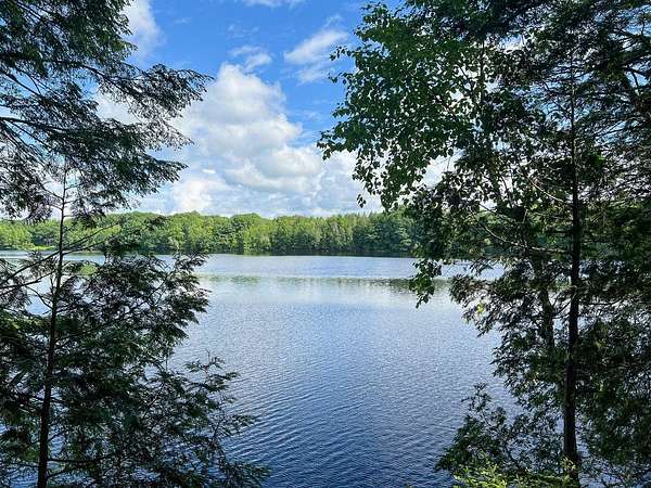 23.6 Acres of Recreational Land & Farm for Sale in Medway, Maine