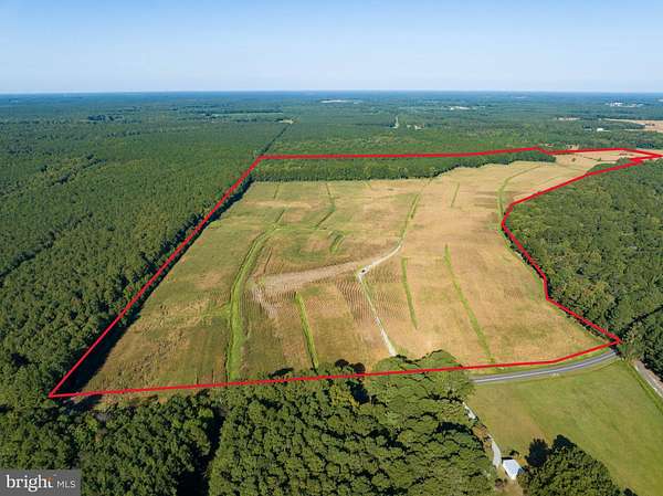 114 Acres of Recreational Land & Farm for Sale in Salisbury, Maryland
