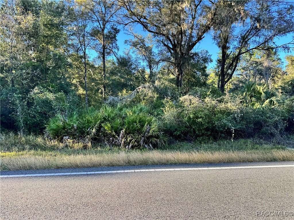 0.85 Acres of Land for Sale in Dunnellon, Florida