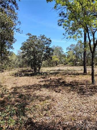 2.53 Acres of Land for Sale in Dunnellon, Florida