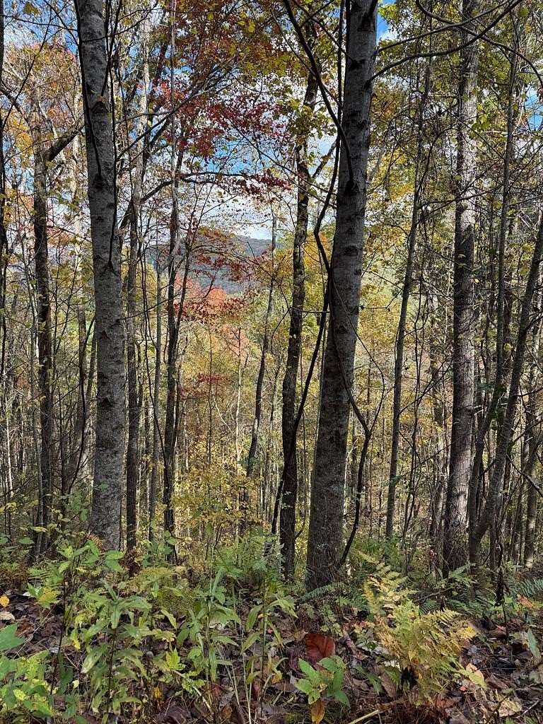 Residential Land for Sale in Murphy, North Carolina