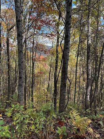 Residential Land for Sale in Murphy, North Carolina