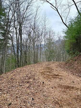 2 Acres of Residential Land for Sale in Murphy, North Carolina