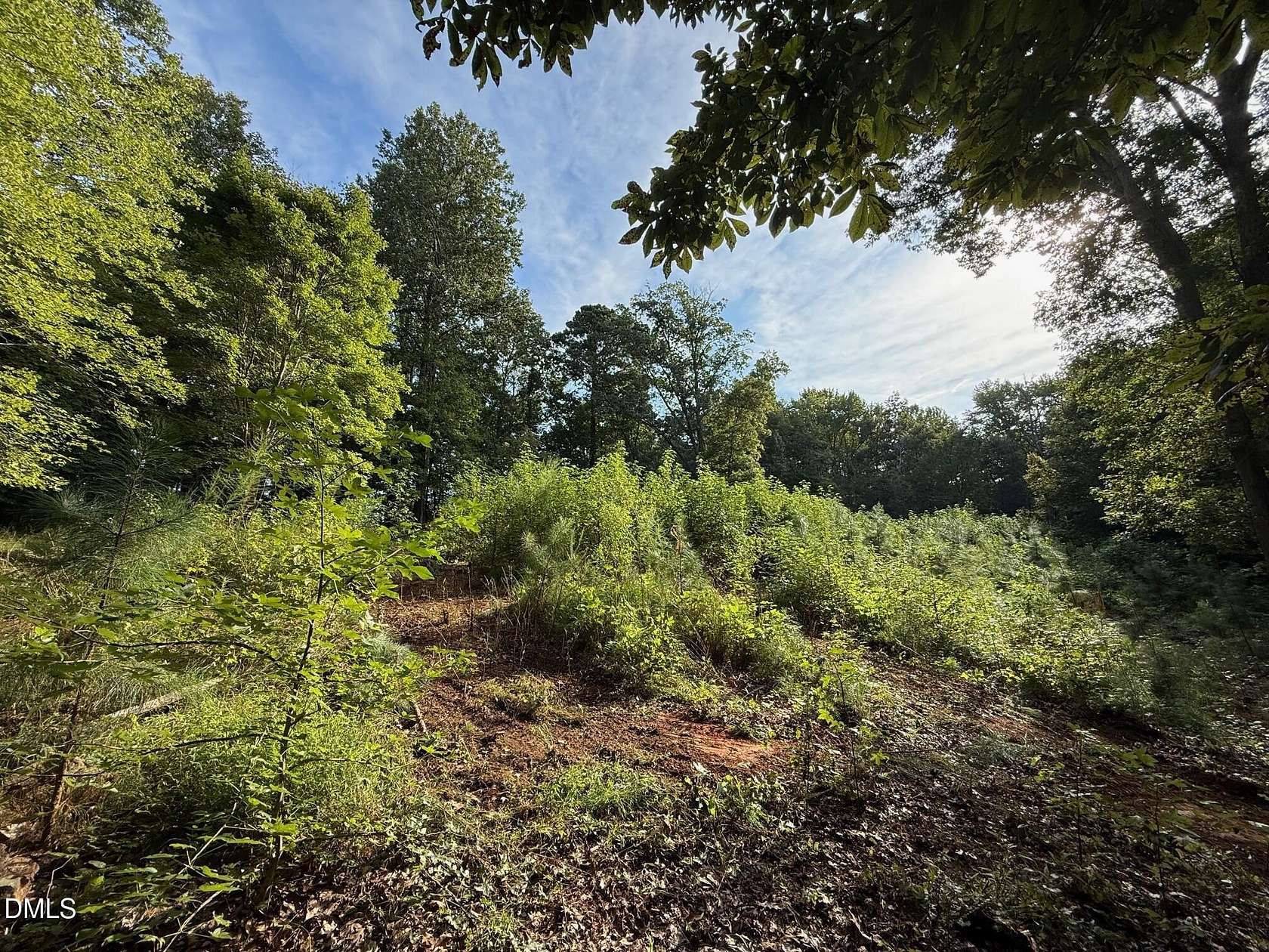 3.63 Acres of Residential Land for Sale in Hillsborough, North Carolina