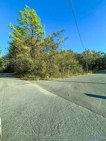 0.41 Acres of Commercial Land for Sale in Attalla, Alabama