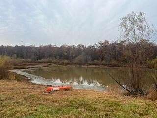 120 Acres of Land for Sale in Summersville, Missouri