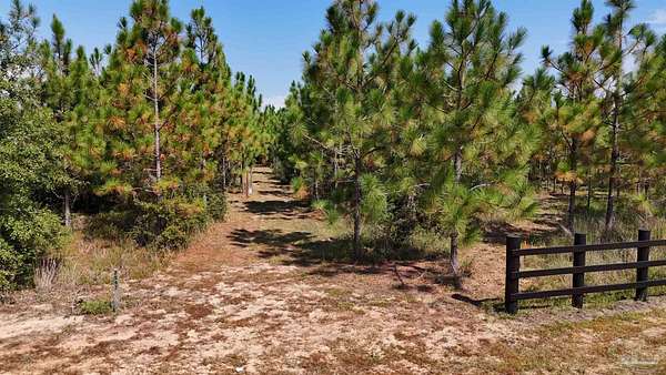 15.1 Acres of Land for Sale in Pace, Florida