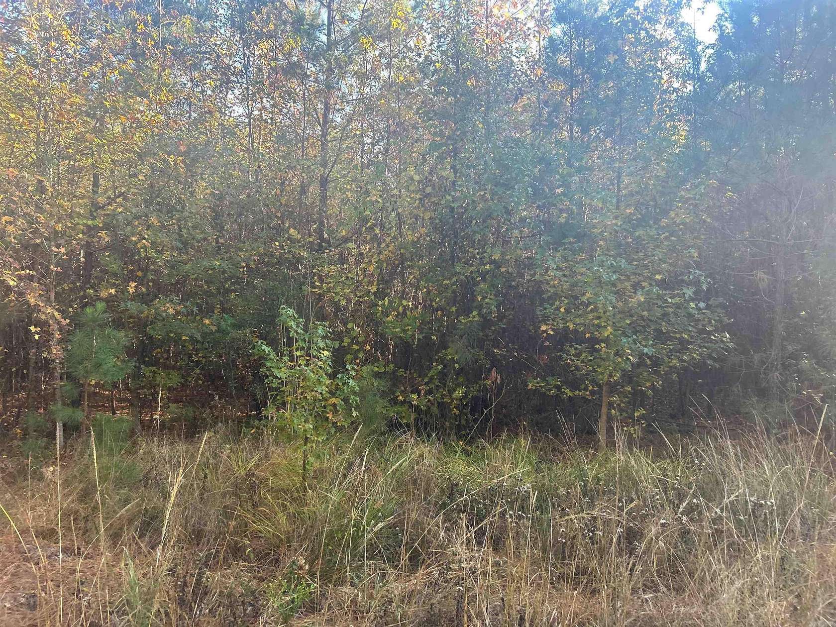 2 Acres of Residential Land for Sale in Arkadelphia, Arkansas