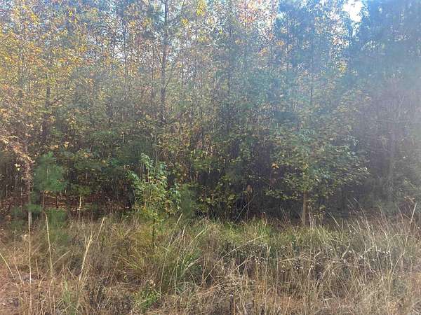 2 Acres of Residential Land for Sale in Arkadelphia, Arkansas