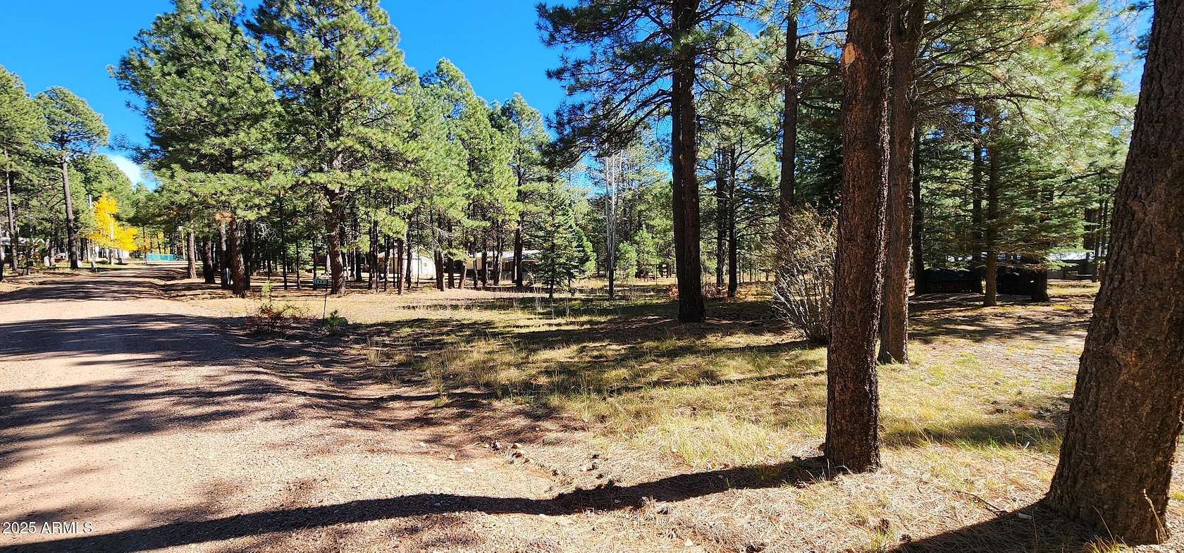 1 Acre of Residential Land for Sale in Forest Lakes Estates, Arizona