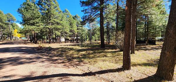 1 Acre of Residential Land for Sale in Forest Lakes Estates, Arizona