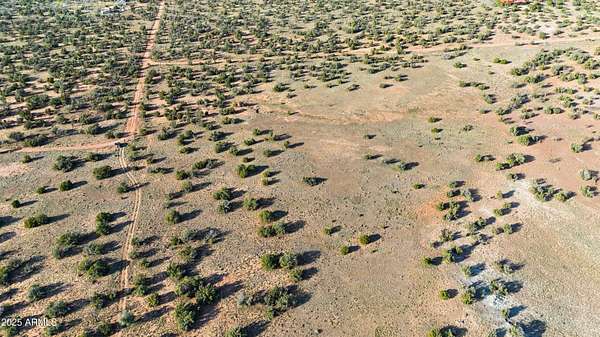 36.7 Acres of Agricultural Land for Sale in Concho, Arizona