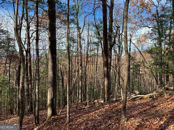 0.63 Acres of Land for Sale in Ellijay, Georgia