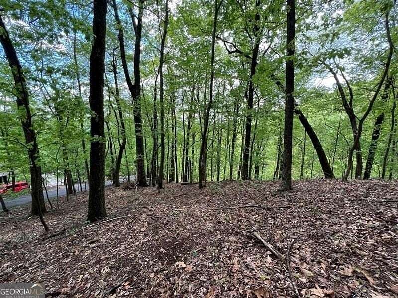 0.79 Acres of Residential Land for Sale in Jasper, Georgia