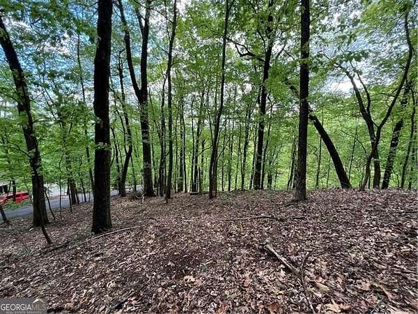 0.79 Acres of Residential Land for Sale in Jasper, Georgia