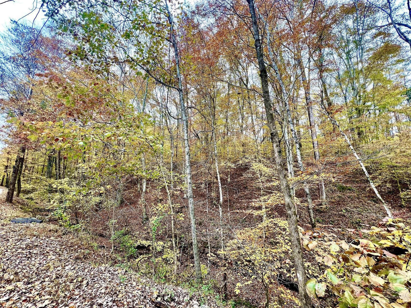 3.36 Acres of Residential Land for Sale in Westmoreland, Tennessee