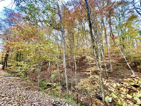 3.36 Acres of Residential Land for Sale in Westmoreland, Tennessee