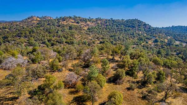 35.6 Acres of Agricultural Land for Sale in Coarsegold, California