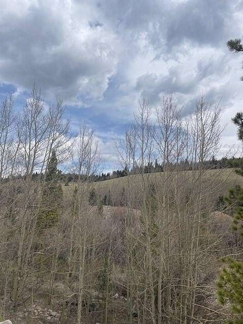 15.5 Acres of Land for Sale in Fairplay, Colorado