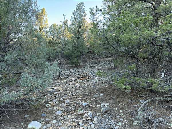 0.6 Acres of Residential Land for Sale in Tierra Amarilla, New Mexico