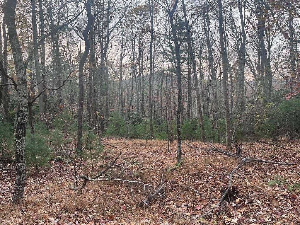 0.3 Acres of Residential Land for Sale in Fancy Gap, Virginia