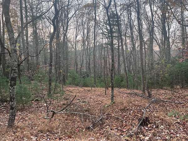 0.3 Acres of Residential Land for Sale in Fancy Gap, Virginia