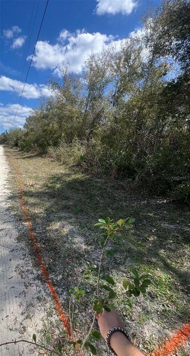 0.5 Acres of Residential Land for Sale in Webster, Florida