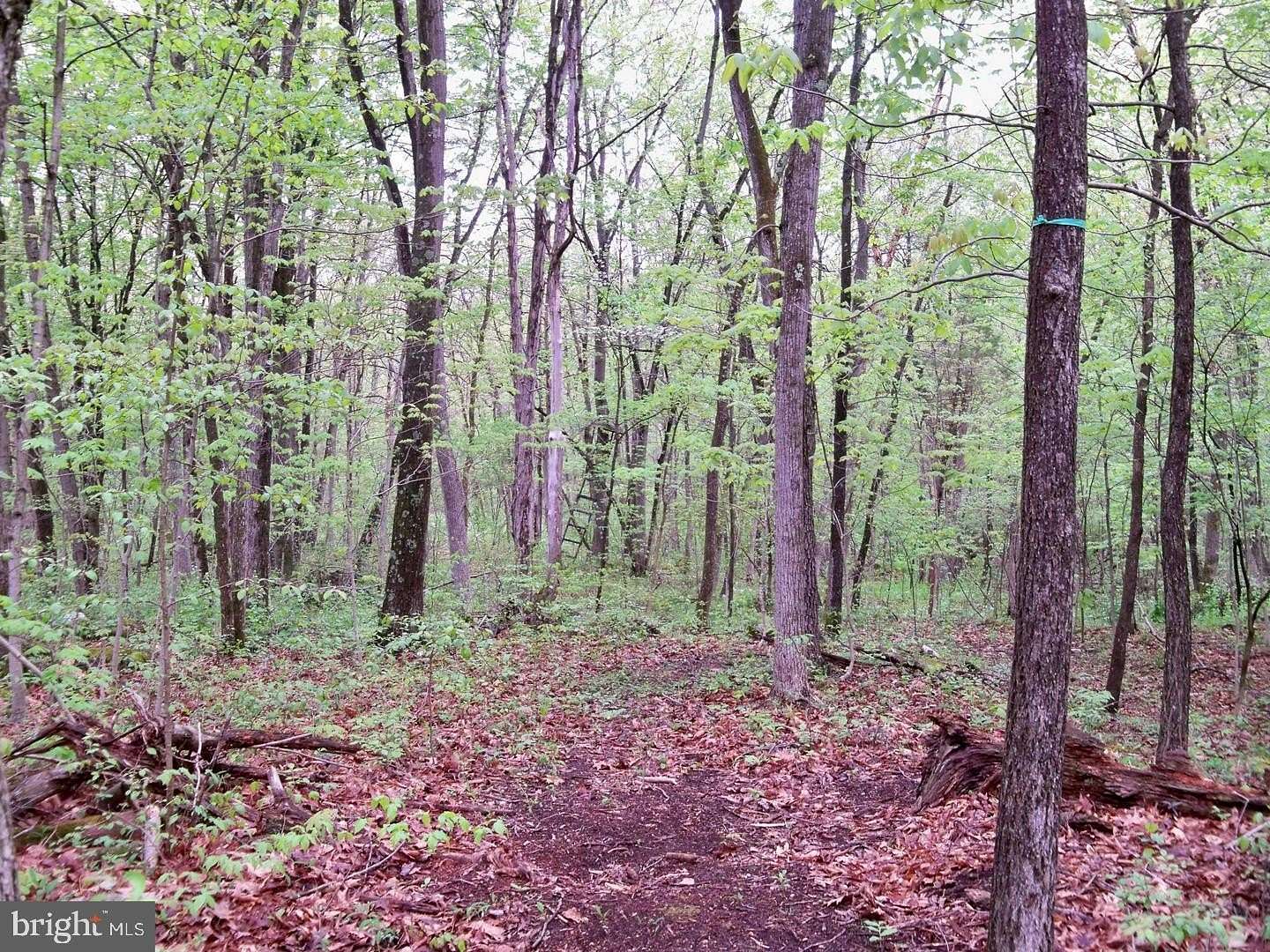 9.86 Acres of Land for Sale in Falling Waters, West Virginia