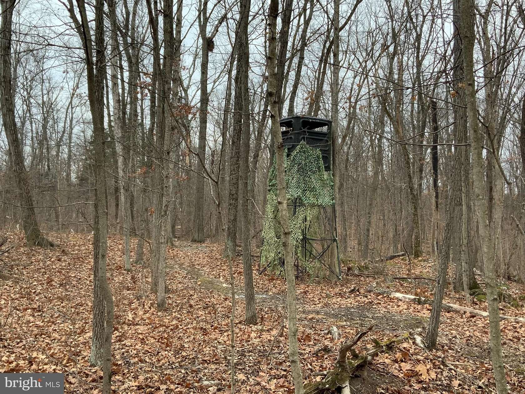 9.86 Acres of Residential Land for Sale in Falling Waters, West Virginia