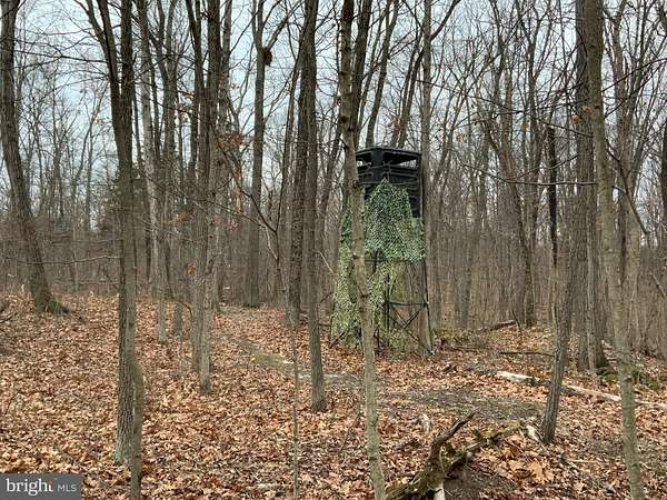 9.86 Acres of Residential Land for Sale in Falling Waters, West Virginia