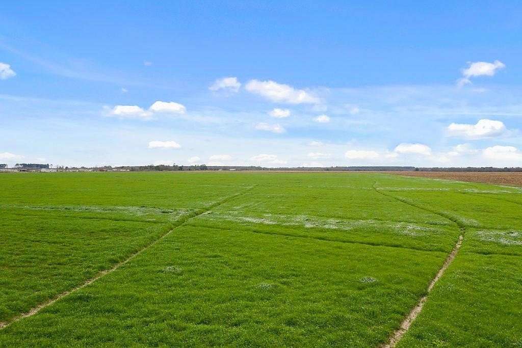 0.99 Acres of Residential Land for Sale in Iowa, Louisiana