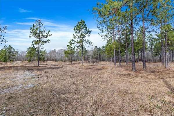 5.42 Acres of Residential Land for Sale in Ragley, Louisiana