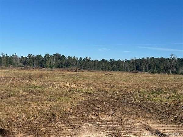 40 Acres of Agricultural & Residential Land for Sale in Longville, Louisiana