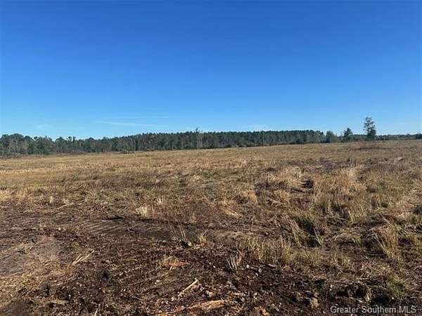 20 Acres of Agricultural & Residential Land for Sale in Longville, Louisiana