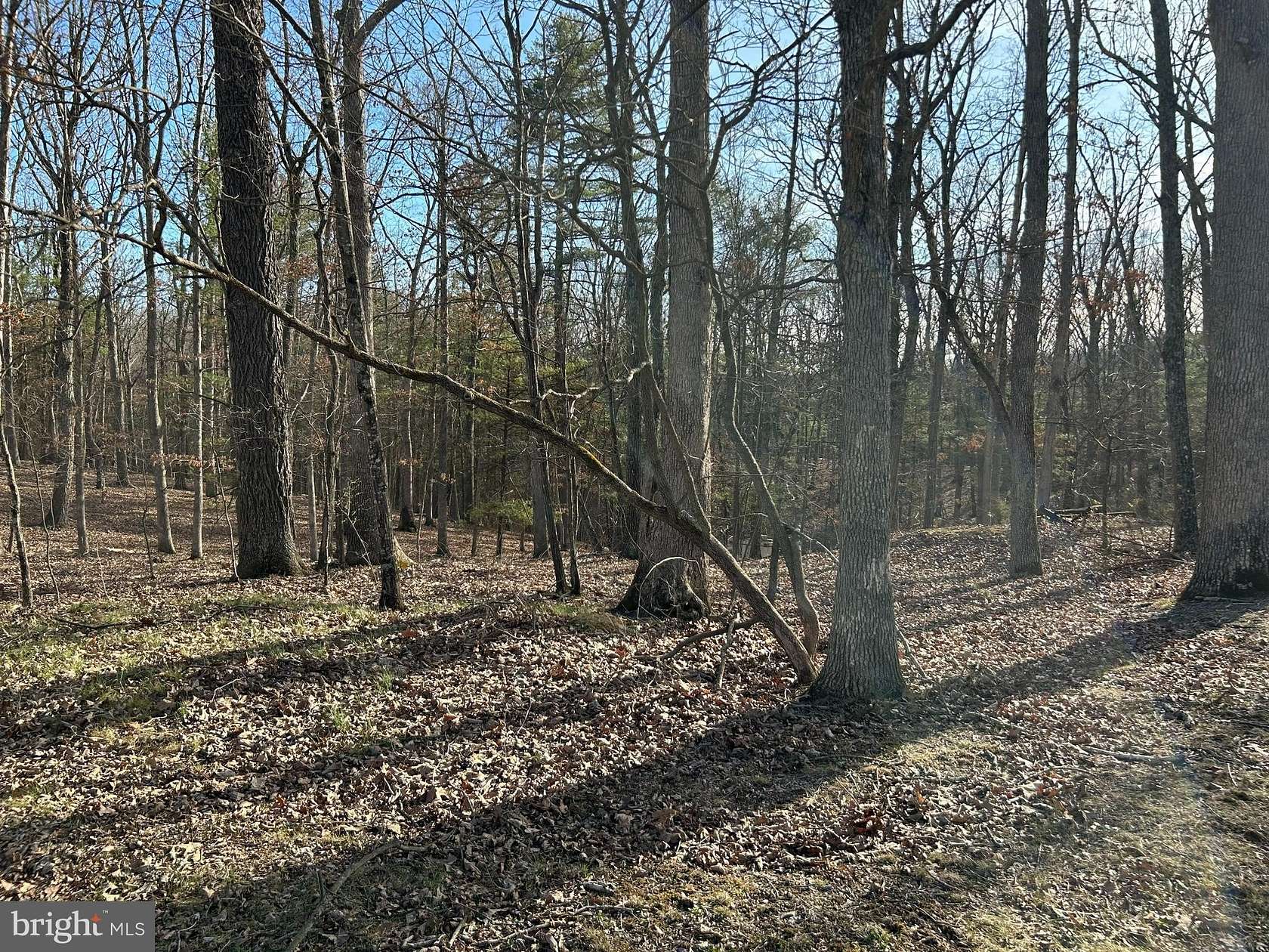 5 Acres of Residential Land for Sale in Augusta, West Virginia