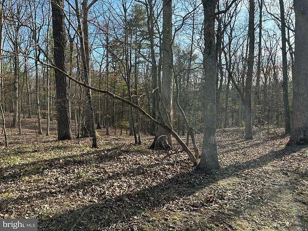 5 Acres of Residential Land for Sale in Augusta, West Virginia