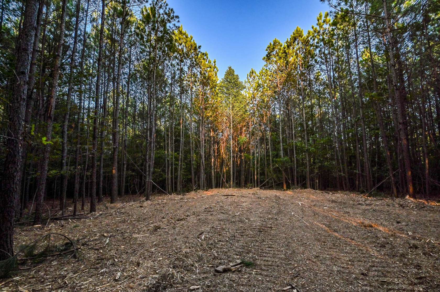 15.4 Acres of Land for Sale in Hohenwald, Tennessee