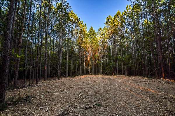 15.4 Acres of Land for Sale in Hohenwald, Tennessee