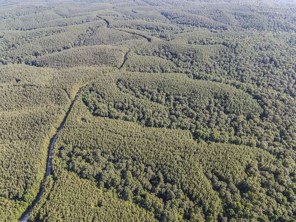 11.3 Acres of Land for Sale in Hohenwald, Tennessee