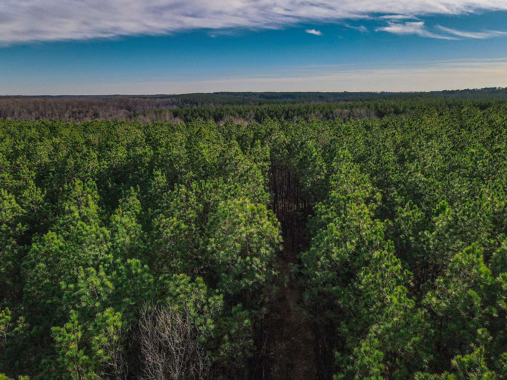 8.78 Acres of Land for Sale in Hohenwald, Tennessee