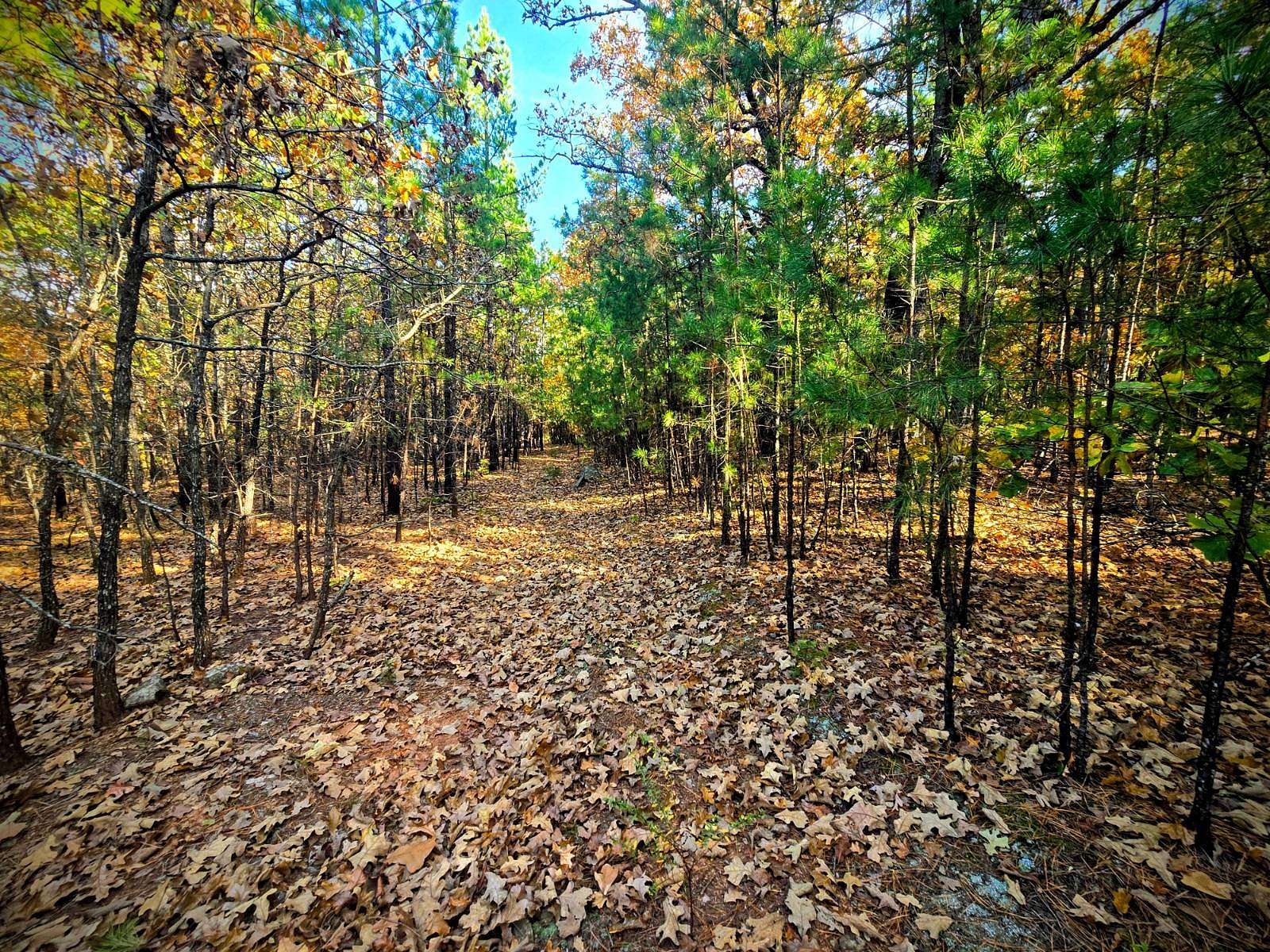 60 Acres of Recreational Land for Sale in Bengal, Oklahoma