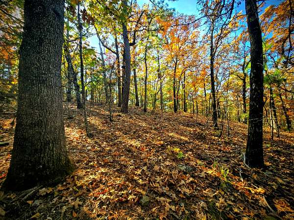 60 Acres of Recreational Land for Sale in Bengal, Oklahoma