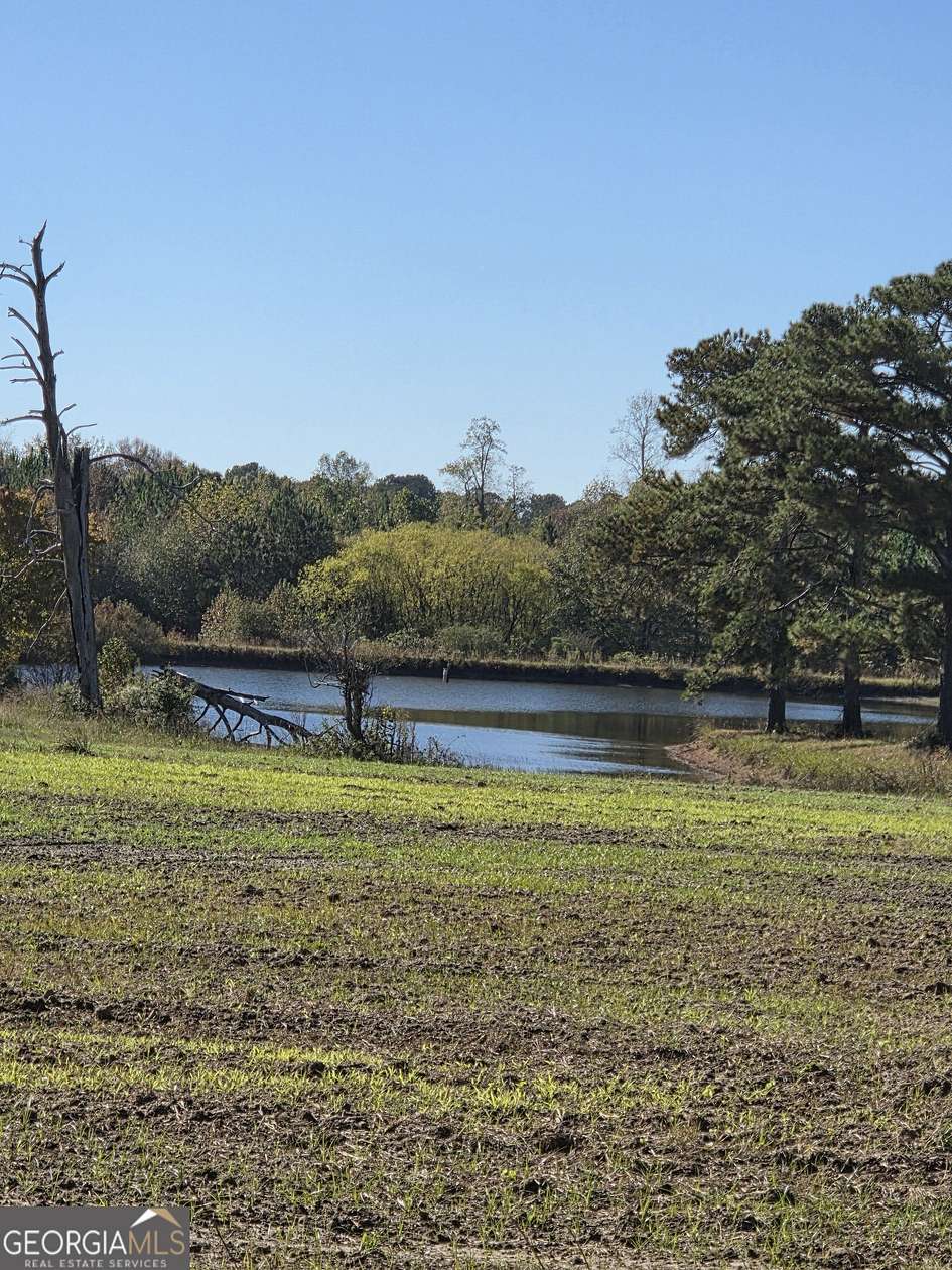 50 Acres of Recreational Land for Sale in Senoia, Georgia