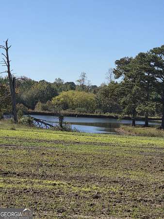 50 Acres of Recreational Land for Sale in Senoia, Georgia