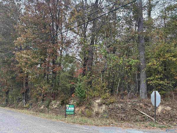 1 Acre of Residential Land for Sale in Gadsden, Alabama