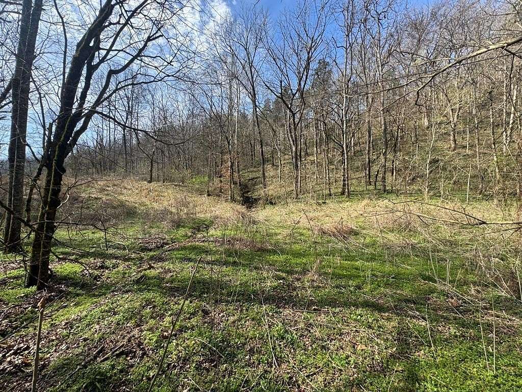 41 Acres of Recreational Land for Sale in Whitleyville, Tennessee