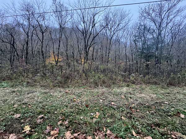 41 Acres of Recreational Land for Sale in Whitleyville, Tennessee