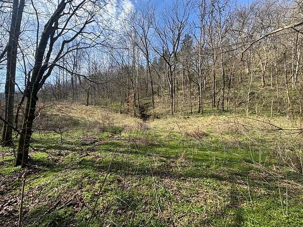 41 Acres of Recreational Land for Sale in Whitleyville, Tennessee