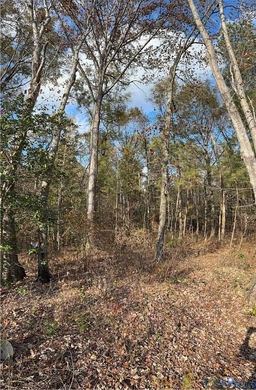 20.5 Acres of Agricultural Land for Sale in Mechanicsville, Virginia